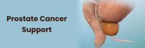 Support Systems for Prostate Cancer Patients