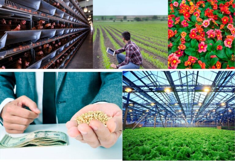 Demystifying Agriculture and Agribusiness https://hometouchmall.com