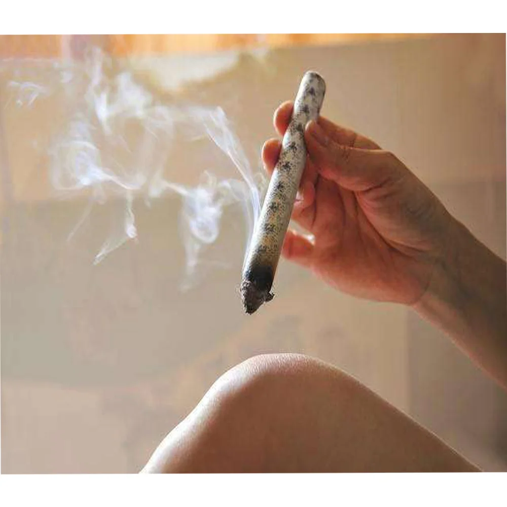 Moxa Sticks Natural Mugwort Rolls Handcrafted from 5 Years Pure Mugwort Wood for Pest Control