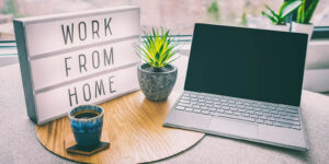 Work from Home Companies