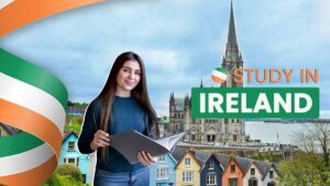 Educational Scholarship Trends in Ireland https://hometouchmall.com