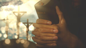 Biblical Facts on Belief https://hometouchmall.com