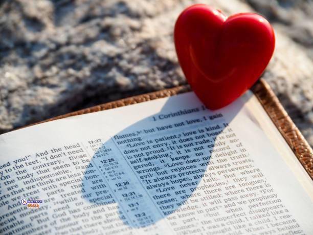 Exploring Love in Biblical Perspective https://hometouchmall.com