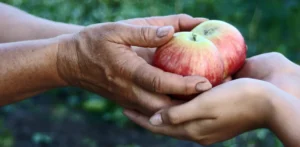 The Biblical Truth About Giving