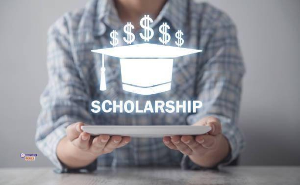 Understanding Scholarship Facilities in Germany https://hometouchmall.com