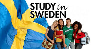 Exploring Scholarship in Sweden https://hometouchmall.com