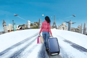 Profiles of Migrating Professionals Who Made It