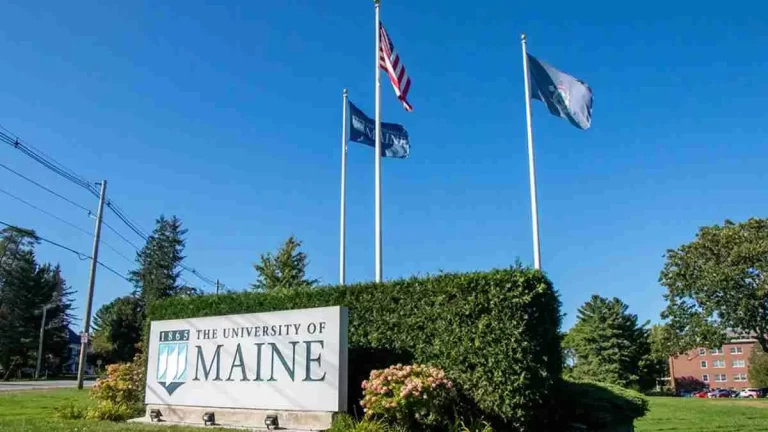 university-of-maine-scholarships