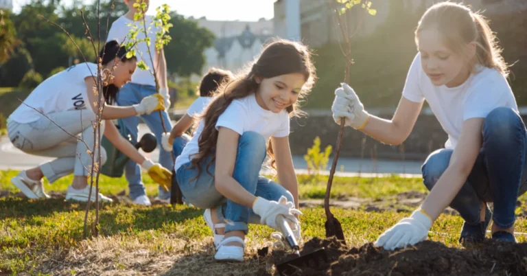 research investigates