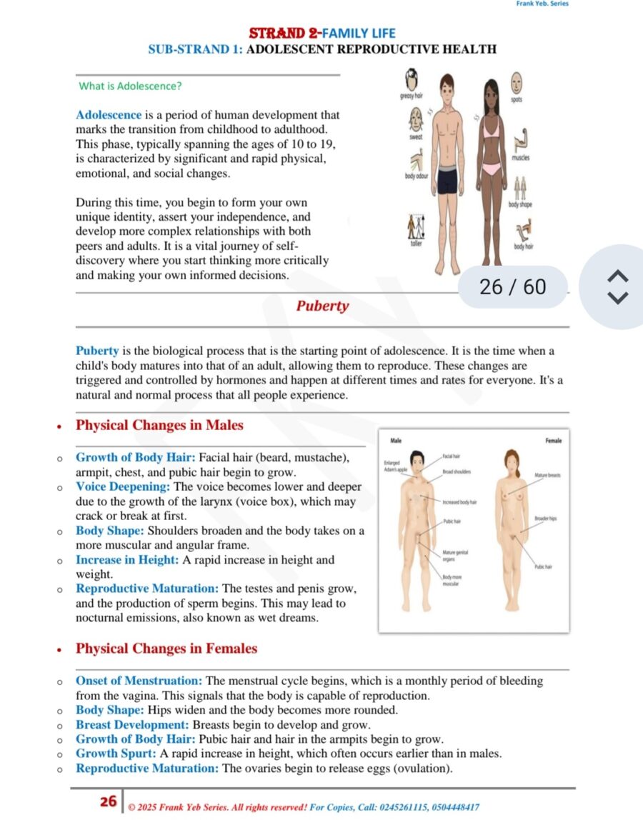 Easy Notes Social Studies Text Book for Basic 7