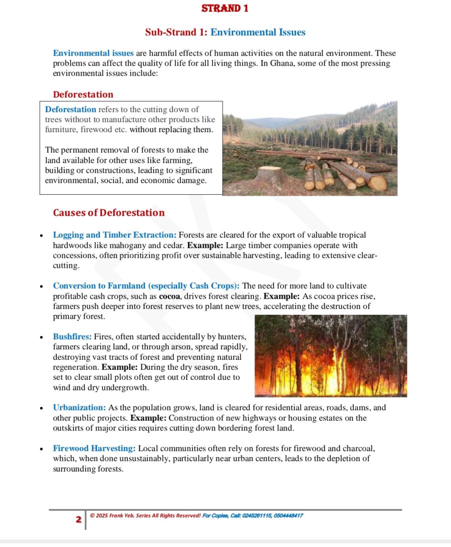 Final Year Success! Social Studies, Easy Notes, Basic 9 (CCP Aligned)
