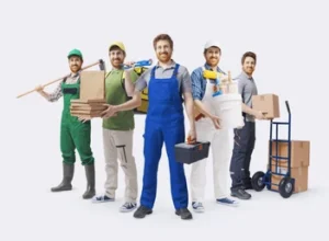 Jobs and Where to Find Them Online