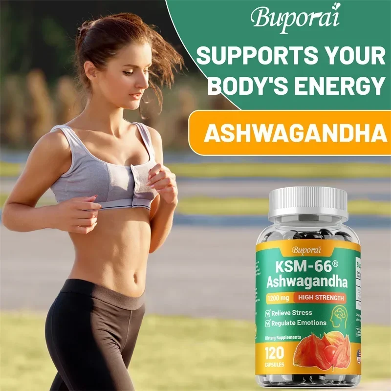 KSM-66 Ashwagandha Extracts Capsules - Relieve Stress and Mood, Promote Sleep Quality, Increase Focus and Brain Health KSM-66 Ashwagandha Extracts Capsules - Relieve Stress and Mood, Promote Sleep Quality, Increase Focus and Brain Health
